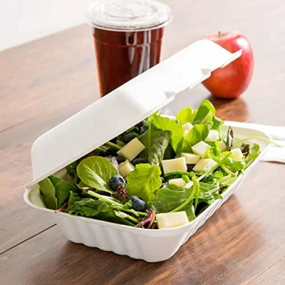 Image of Hot BARGAINS 50 x bagasse Takeaway Containers 9 6 Clamshell Food Size (232x155x78mm) For Or Cold Manufacturer Sealed packaging (Hygiene Proof)