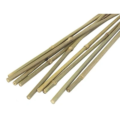 Image of JVL Natural Bamboo Garden Canes, Brown, 244 cm
