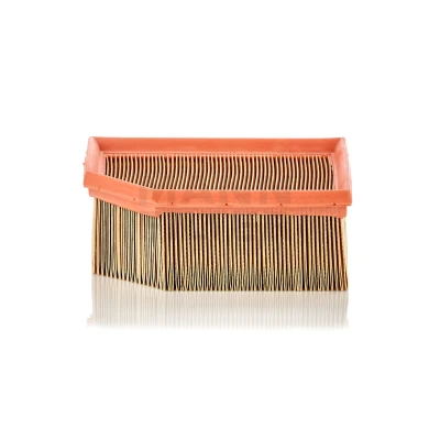 Image of 1444V2, 1444V4 Air Filter MANN C 1995 70mm 171mm 189, 139mm Insert CITROËN: Berlingo / First I, I Van