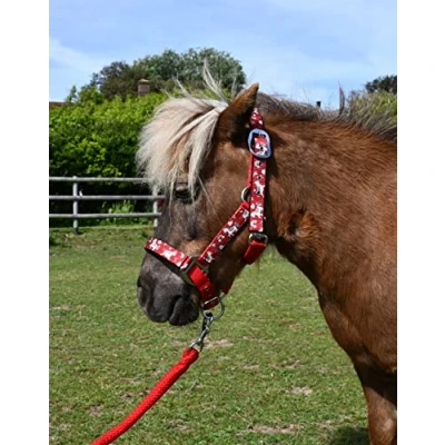 Image of Rhinegold Unicorn Headcollar and Rope Set Shetland Red