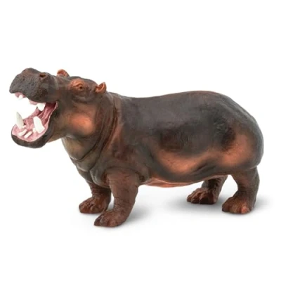 Image of Safari Hippopotamus