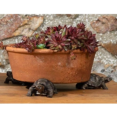 Image of Potty Feet Tortoise Figures Plant Pot Planter Riser Support 3pcs