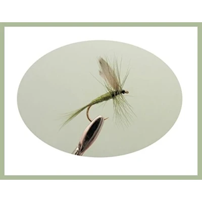 Image of Olive Dun Trout Flies, 12 Pack Dunn, Mixed Size 12/14/16, For Fly Fishing