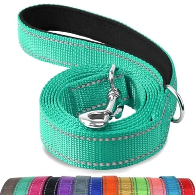 Image of Joytale Padded Handle Dog Lead,Double Sided Reflective Nylon Dogs Leads for Training,Walking Leash Small, Medium Dogs, 1.2m x 2cm, Teal