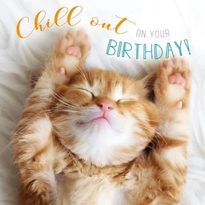 Image of Abacus Cards CAT &#039;&#039;Chill Out&#039;&#039; Birthday Card Photographic Rapture Range, 159cm x / 6.25 Inches