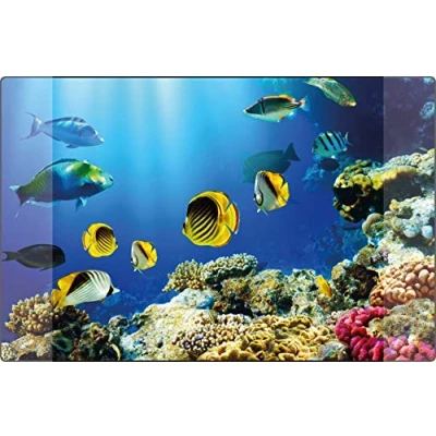 Image of Kangaro K 0014D115 Desk Mat PP 38 x 58 cm Aquarium