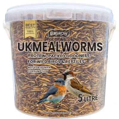 Image of UKGROW Mealworms for Wild Birds 5L Bucket Premium Bird Food Nutritious Dried