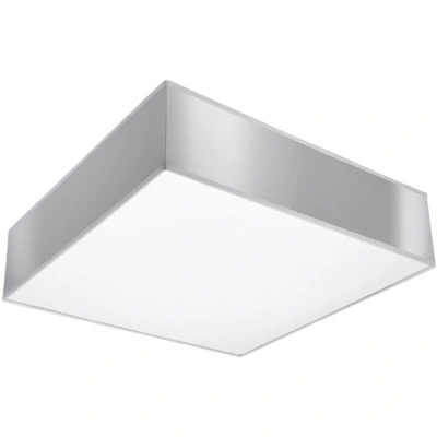 Image of Horus 2 Light Flush Square Ceiling Silver, E27