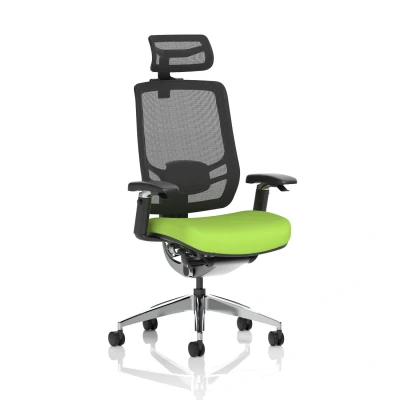 Image of Ergo Click Fabric Seat Myrrh Green Black Mesh Back with Headrest