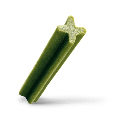 Image of Pedigree Dentastix Fresh Daily Dental Chews Medium Dog 5 Sticks