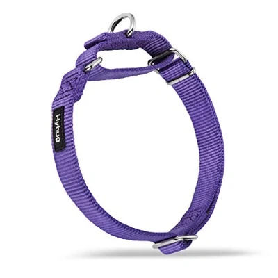 Image of Hyhug Heavy Duty Nylon Anti Escape Martingale Dog Collar for Large Medium Small Boy and Girl Dogs Walking Training Daily Use. (Small, Ultra Violet)