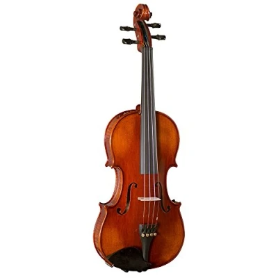 Image of Hidersine Piacenza Violin Outfit with Wittner Fine Tune Pegs