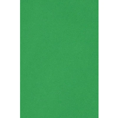 Image of Netuno 10 x Coloured Card DIN A3 297 420 mm Green 250 g Burano Verde Bandiera Craft Plain Photo Colourful Fine Paper DIY Sheet Creative Cardboard