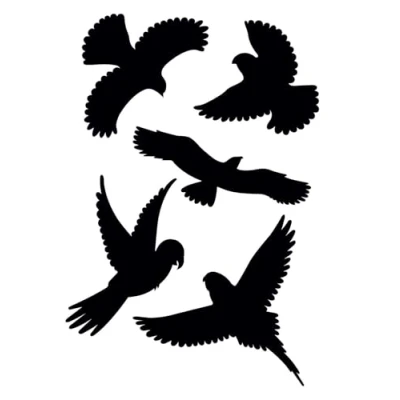 Image of GARDIGO® Bird Protection Stickers Pack of 5 I Window Film for Repellent Black Windows, Doors, Conservatories Against Strikes Pictures