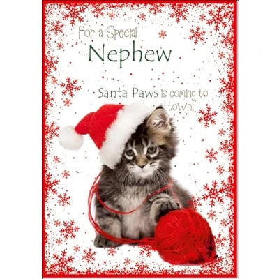 Image of doodlecards Nephew Christmas Card Cute Santa Paws Kitten Cat Pet Large A4 Size for with Plain Envelope