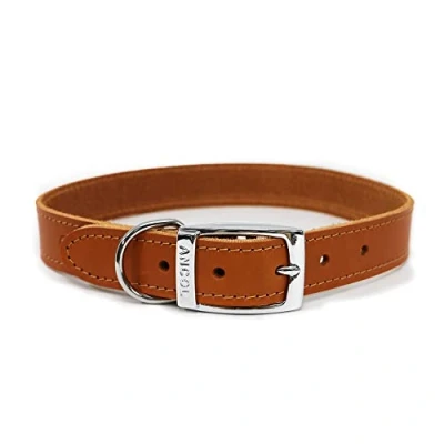 Image of Ancol Heritage Durable Leather Black Dog Collar Puppy Pet Training Accessory 20 26cm, Size 1