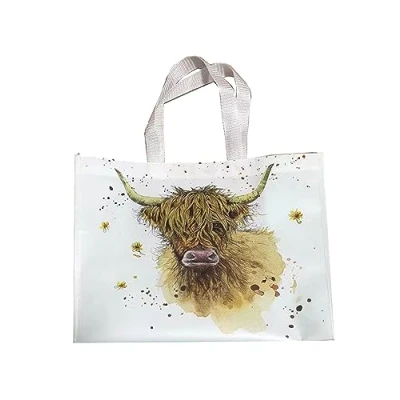 Image of Puckator Jan Pashley Highland Coo Cow Big Foldaway Reusable Shopping Bag Shoulder Bags Handbags for Women Canvas Tote Hand Large Ladies Aesthetic Stuff