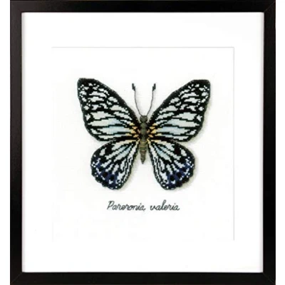 Image of Vervaco Blue Butterfly, Polyester Cotton, Multi Colour, 40 x 2 20 cm