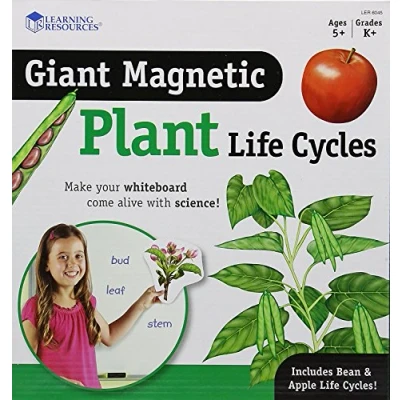 Image of Learning Resources Giant Magnetic Plant Life Cycle