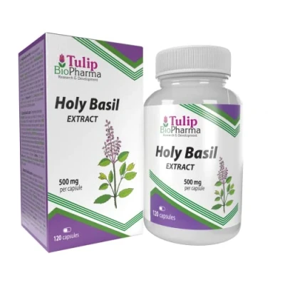 Image of Tulsi Holy Basil 5000mg Equivalent (500mg of 10:1 Extract) 120 Capsules, 3rd Party Lab Tested, High Strength, No Fillers or Bulkers, Gluten, GMO Free
