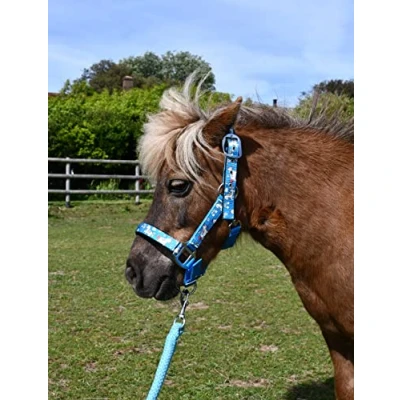 Image of Rhinegold Unicorn Headcollar and Rope Set Pony Turquoise