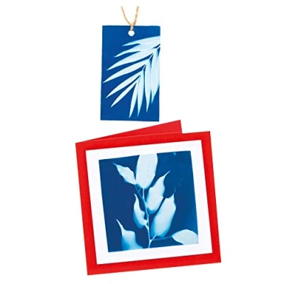 Image of Baker Ross AX114 Sun Print Paper Kits Pack of 12, For Kids Arts and Crafts Projects