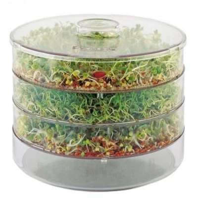 Image of NORBI LAND Organic SEEDS (GMO free) SPROUTER Healthy GERMINATOR SPROUT Easy to Use