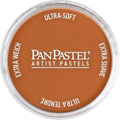 Image of PanPastel Ultra Soft Artist Pastel 9Ml Burnt Sienna