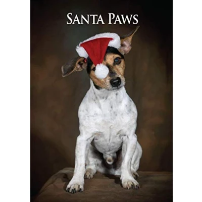 Image of Jack Russell Dog Christmas Card by Charles Sainsbury Plaice. Large A5 size with envelope.