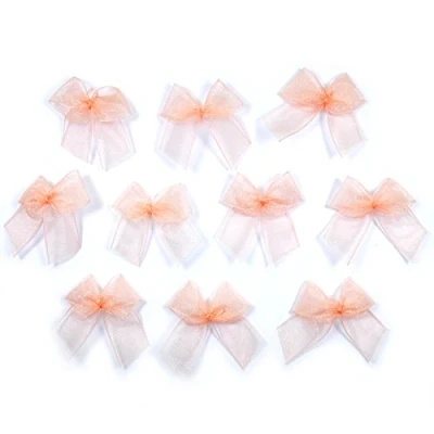 Image of Sheer Ribbon Bows 3cm Wide Pack of 10 (Peach)