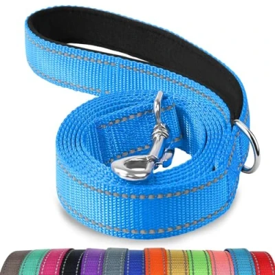 Image of Joytale Padded Handle Dog Lead,Double Sided Reflective Nylon Dogs Leads for Training,Walking Leash Small, Medium Dogs, 1.2m x 2cm, SkyBlue