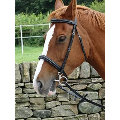 Image of Turners Stunning Black Leather Snaffle Cavesson Horse Riding Bridle with Reins (Horse)