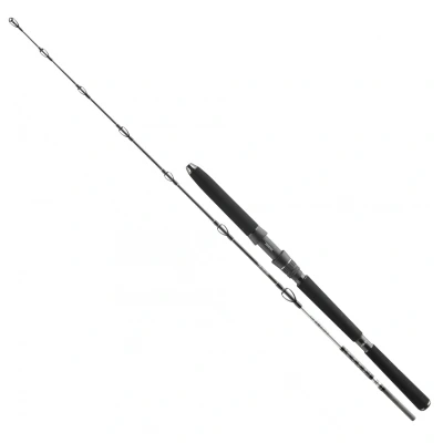 Image of Daiwa BG Deep Sea 1,75m 30lbs fishing rod