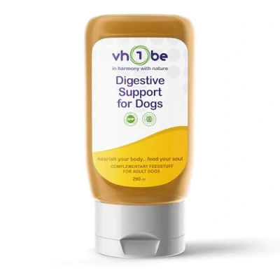 Image of Digestive Support for Dogs Beef Gravy 290ml