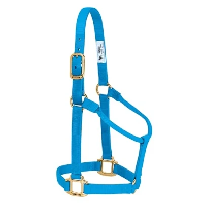 Image of Weaver Leather Original Non Adjustable Halter (Hurricane Blue, Avarage Horse/Yearling Draft)