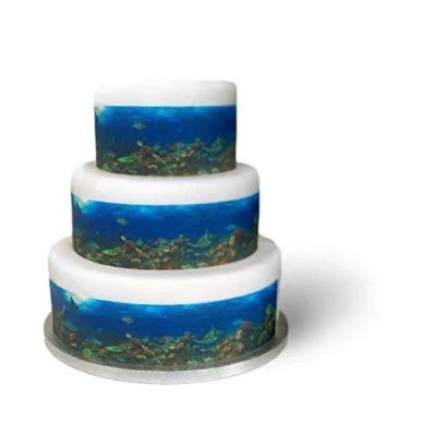 Image of Edible Decor Sheet Underwater Sea Coral Tropical Fish Border Ribbon Perfect for Decorating Larger Cakes Easy to Use