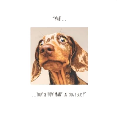Image of Click, Like &amp; Share Birthday Card for Her, Wait… You&#039;re How Many in Dog Years? Female Card, Funny her
