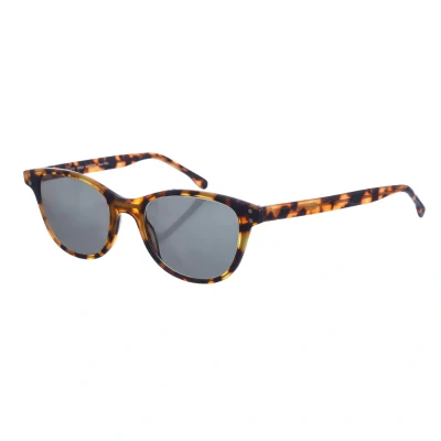 Image of Zen Z473 WoMens square shaped acetate sunglasses Multicolour One Size