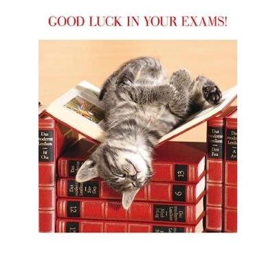 Image of Greeting Card (PH0935) Good Luck In Your Exams Cat Napping on Books