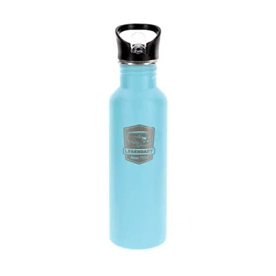 Image of BRISA VW Collection Volkswagen Stainless Steel Drinking Bottle with Lettering &amp; Vintage Logo in T1 Bus Design (750 ml/25.4 fl oz/Vintage Logo/Turquoise)