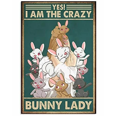 Image of Inga Crazy Bunny Lady Rabbit Poster Metal Tin Sign 8x12 inches