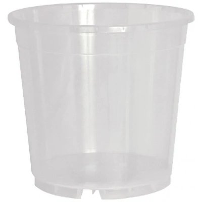 Image of clear orchid pot