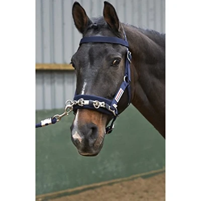 Image of Whitaker Unisex&#039;s Cavesson Lunge Navy Cob, Blue