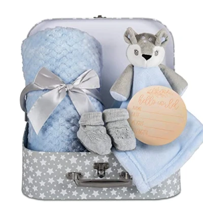 Image of Hoolaroo Baby Blanket New Boy Gifts Newborn Box Fleece Blanket, Blue Deer Fawn Comforter, Knit Booties, Hamper Suitcase for Present Boys