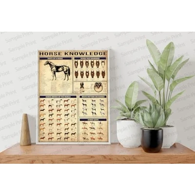 Image of Horse Knowledge Poster Lover Gift Racing Art Cowgirl Decor Metal Tin Sign 8x12 inches