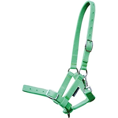 Image of Harry&#039;s horse Foal halter Full Veulen Lime