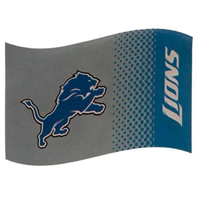 Image of Detroit Lions Flag FD