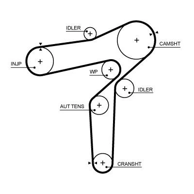 Image of 68335121AA Timing Belt GATES 5706XS 197 1583mm 24mm ALFA ROMEO: Giulia Saloon