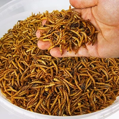 Image of Dried Mealworms Premium Garden Wild Bird Food Mix Balanced Formula Protein Rich, Great Source of Energy