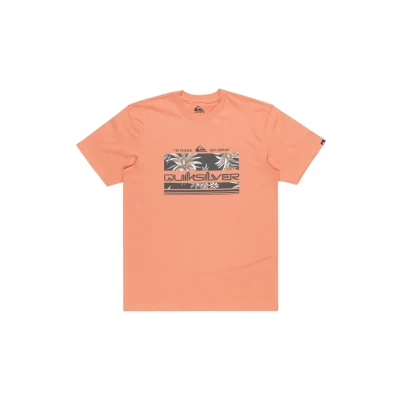 Image of Quiksilver Tropical Rainbow T Shirt for Men